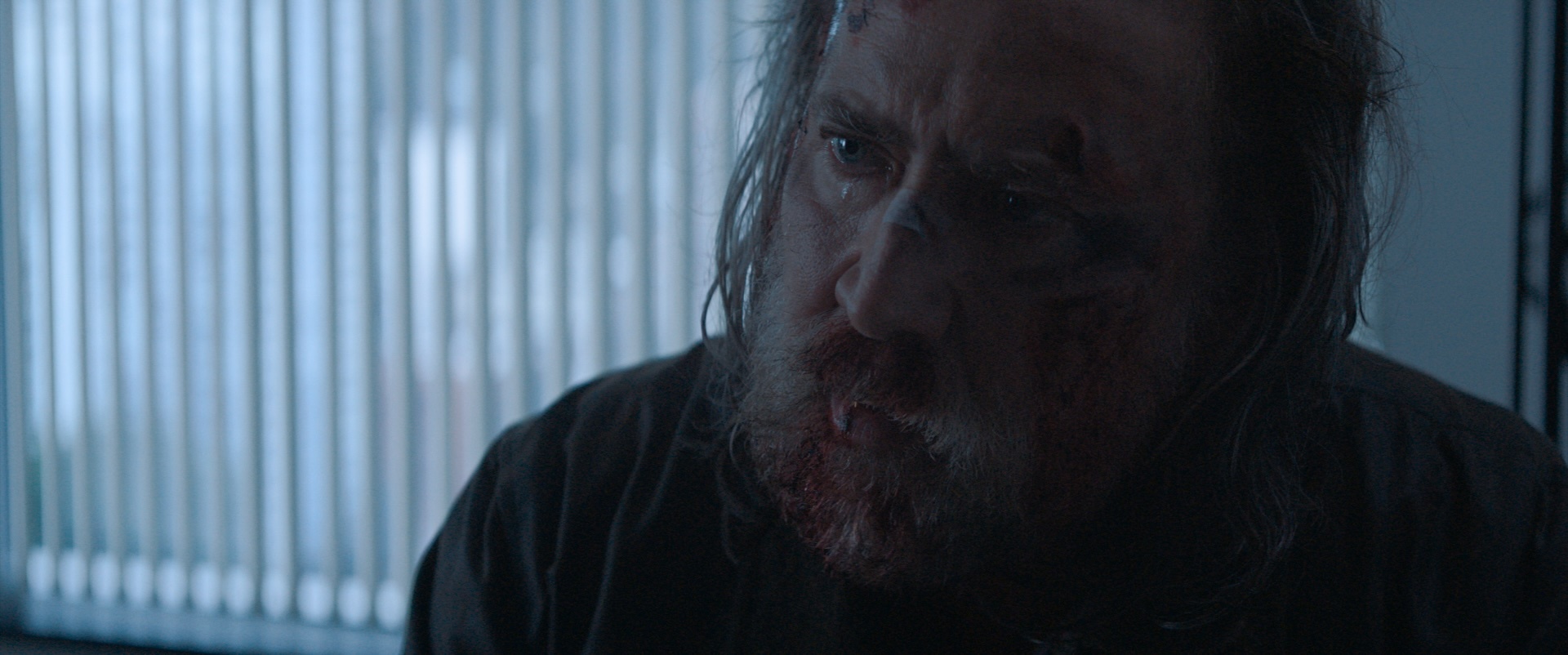 Pig still 4